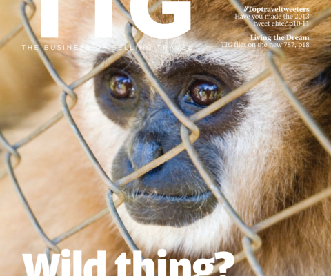 Travel Trade Gazette 27 June 2013