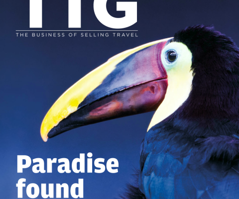 Travel Trade Gazette 14 March 2019