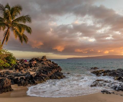 The cruise will call in Hawaii among 37 halts (Credit: Christian Joudrey / Unsplash)