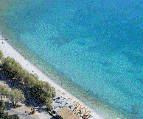 Poll results: Clients confident to travel from June