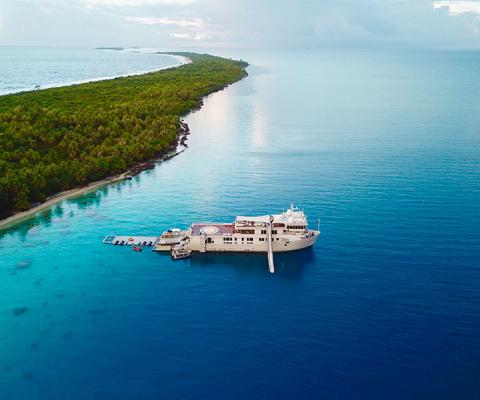 Trips include one with Pelorus to Tahiti