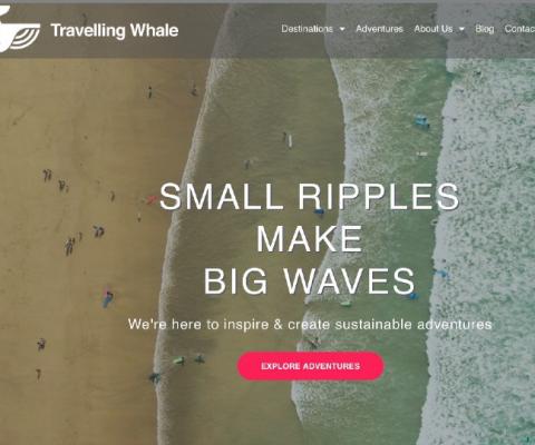 Travelling Whale will be donating 1% of its profits to a wildlife charity
