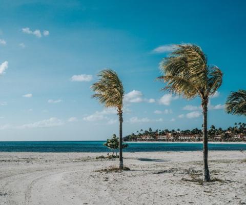 Aruba offers another option in the Caribbean (Credit: David Troeger / Unsplash)