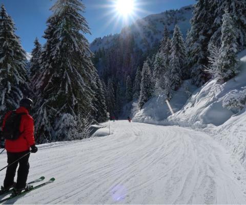 (Credit: Willian Jones / Unsplash)