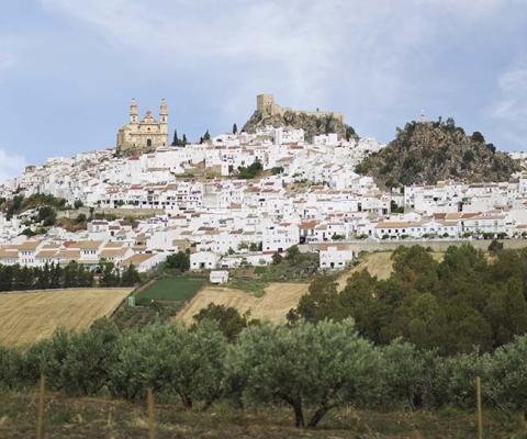 Free Covid-19 insurance boosts Andalucia's appeal for 2021