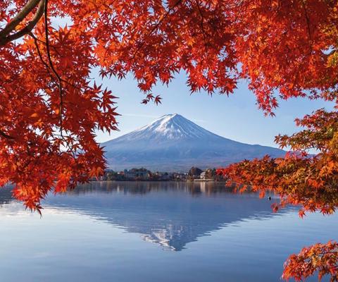 Donnelly: 'Businesses driven by values and purpose are going to be the ones that come out of Covid as leaders.'