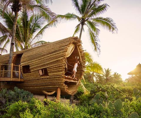 Treehouse-room-at-Playa-Viva.jpg