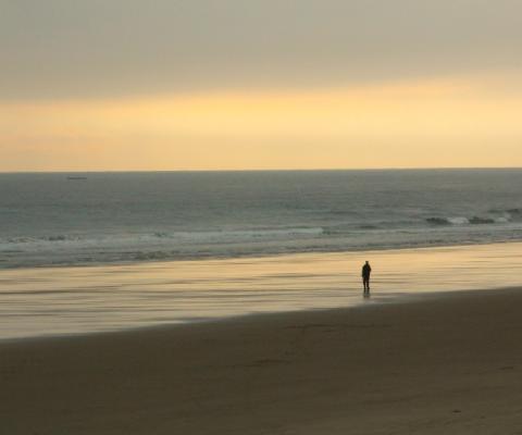 Demand for domestic breaks is soaring (Pictured: Bamburgh Castle Beach; Credit: Paul Levesley / Unsplash)