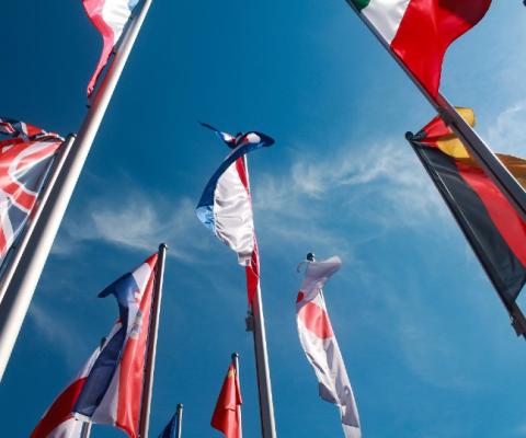 'With your long-requested, long-awaited help, we will proudly fly the flag for a global Britain' (Credit: Sebastiano Piazzi / Unsplash)