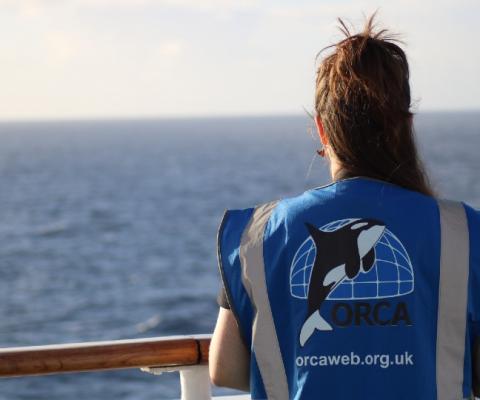 Several Orca cruise conservationists will join Fred Olsen's summer programme