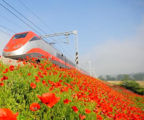 A third of Exodus trips from the UK are now available with rail rather than flight options