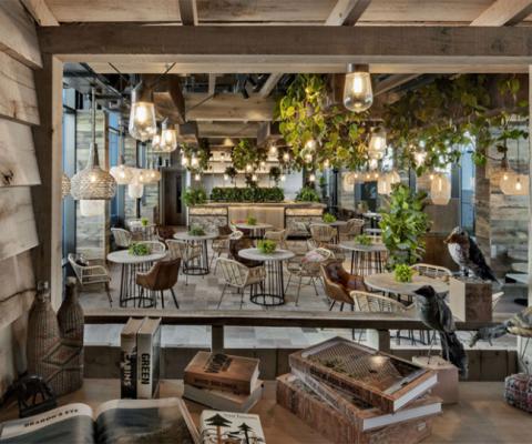 Treehouse Hotels plans second UK hotel