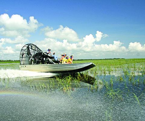 Wednesday 14 July - 2