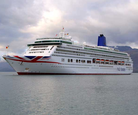 According to the line, the reaction demonstrates "the pent up demand" for cruise travel