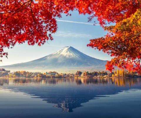 Wendy Wu Tours is offering free flights to Japan for group departures in 2022 and 2023