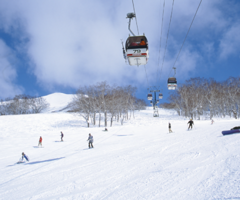 Bramble Ski was founded in 2005