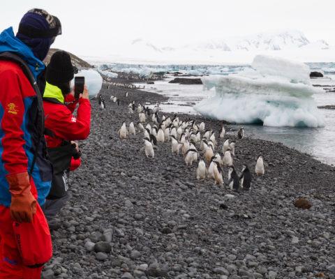 The cruise line partnered with the #WeTwo Foundation to take 10 nominated underprivileged teens on the expedition (Photo: Chelsea Claus)