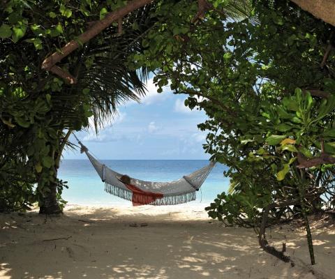 Additions include Lily Beach in the Maldives (Credit: Kuoni)