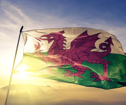 Wales_Welsh_flag_stock_image.jpg