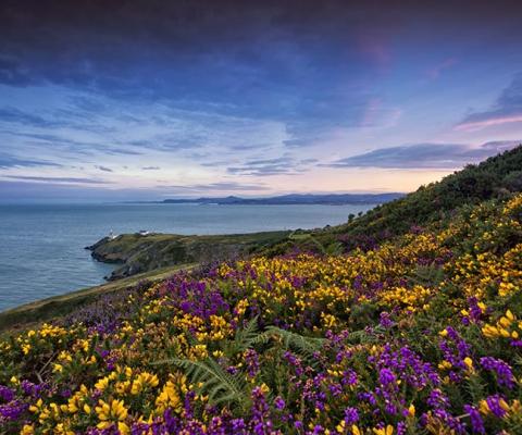 Reveal the island of Ireland to your clients