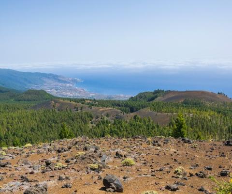 According to the island's tourism board, seismic activity in the area continues with localised events both at surface level and at depths up to 8km (Credit: Luca N / Unsplash)