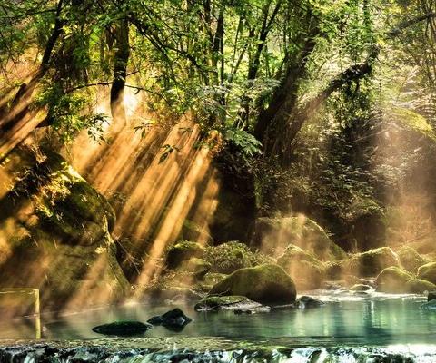 TTC brands offer tours to remote parts of the globe.