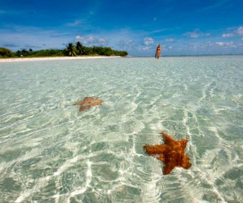 The Cayman Islands has reportedly followed a "controlled reopening strategy to ensure the ongoing safety, security, and peace of mind of visitors and the local population"  