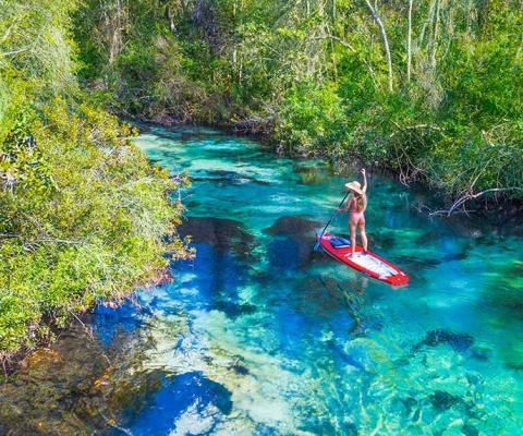 Stand-up paddle boarding in Weeki Wachee, Florida