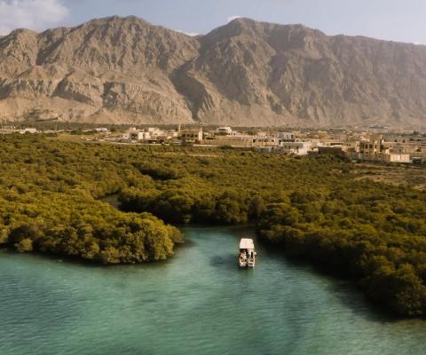 Ras Al Khaimah boat mangroves.jpg