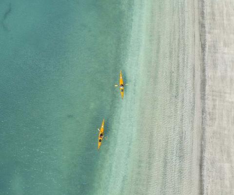 Learning about New Zealand on an immersive virtual fam