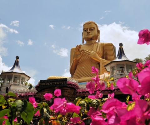 A 13-day Sri Lanka tour includes temple and palace day trips