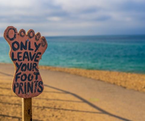 (Credit: Nick Fewings / Unsplash)