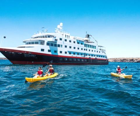 Hurtigruten ‘to fuel ships with dead fish’ amid biogas and LNG revolution