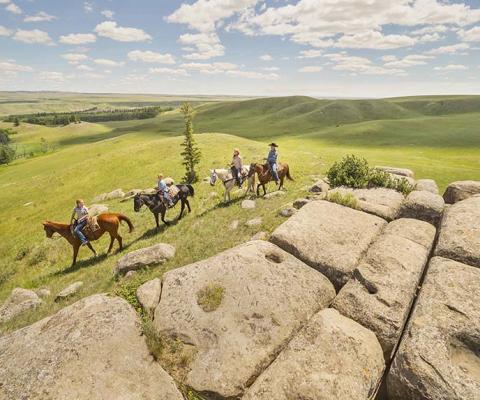 Cypress Hills