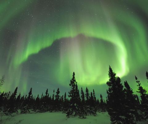 Yukon’s Whitehorse offers more than 300 days of potential Aurora Borealis sightings every year