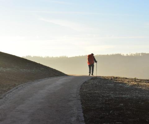 Pax Travel specialised in Christian pilgrimages (Credit: Jorge Luis Ojeda/Unsplash)