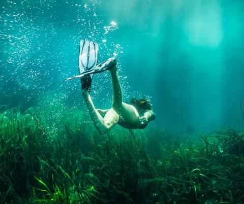 Ocala Springs was among the Floridian destinations showing the biggest growth in UK visitors