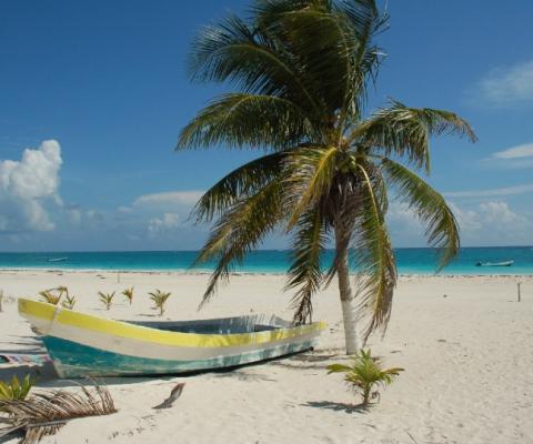 (Credit: Joanna Szumska / Unsplash)