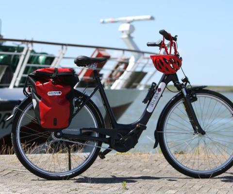 E-Bike_Excursion-ROSA.jpg