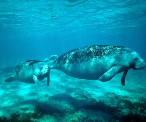 How Tampa Bay's new tourism product is putting the city in the spotlight