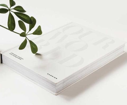 Carrier: Our World brochure