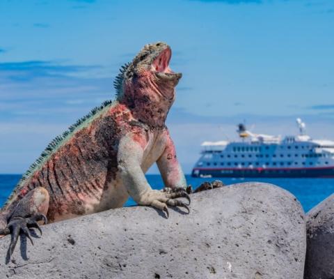 Hurtigruten_Group_acquires_stake_in_Metropolitan_Touring.jpg