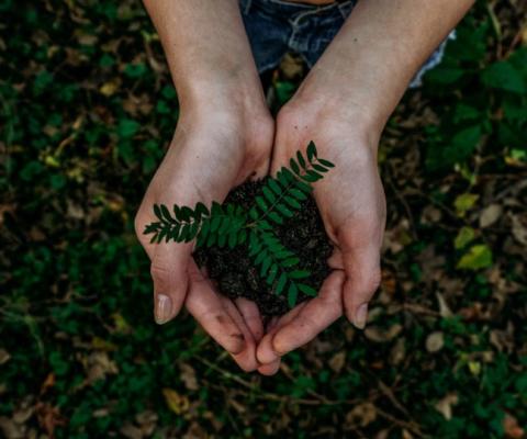 TTG Media has forged a partnership with sustainability consultancy TerraVerde (Credit: Noah Buscher / Unsplash)