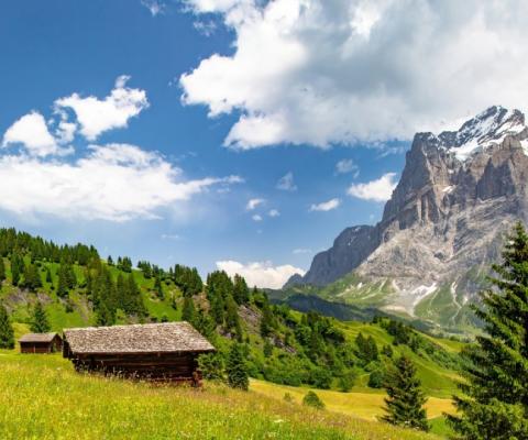 Grindelwald is Switzerland is a favourite (Credit: Inghams / Hotelplan UK)