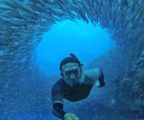 Diving in the waters of the Galapagos Islands