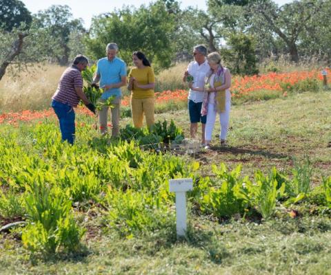 There are more than 550 Make Travel Matter experiences across all TTC itineraries