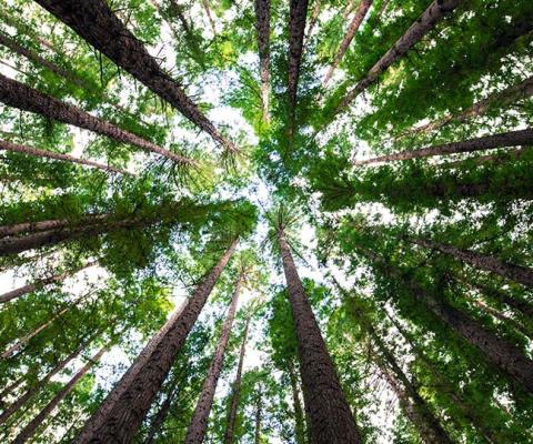 Photo by Arnaud Mesureur on Unsplash