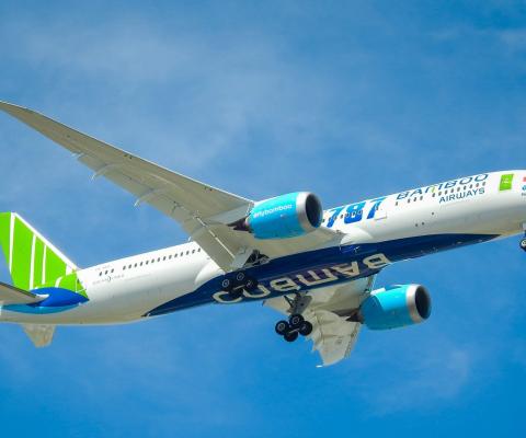 Bamboo_Airways_edited.jpg