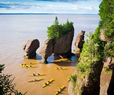 The Hopewell Rocks