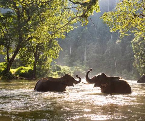 ‘Whatever your role, you can help customers understand which animal activities to avoid’